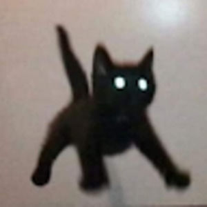 Meet your Posher, Light